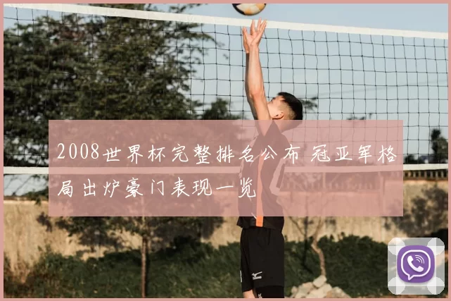 2008世界杯完整排名公布 冠亚军格局出炉豪门表现一览