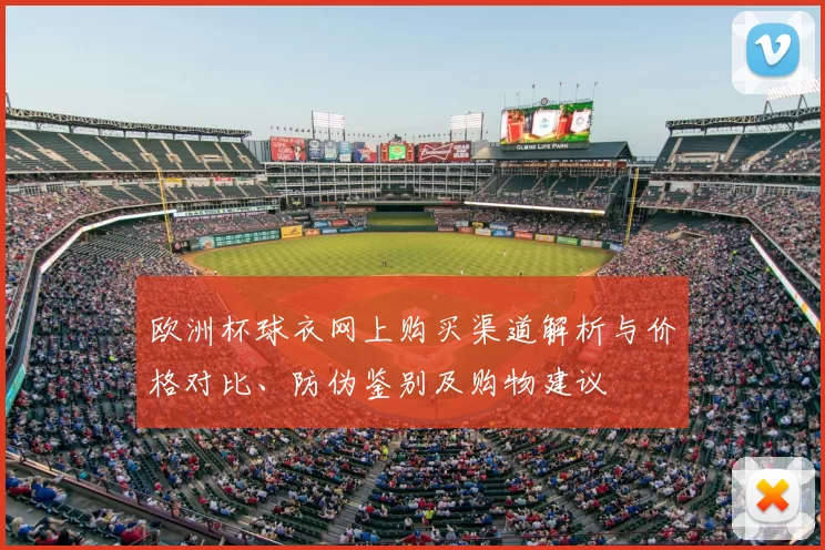 欧洲杯球衣网上购买渠道解析与价格对比、防伪鉴别及购物建议