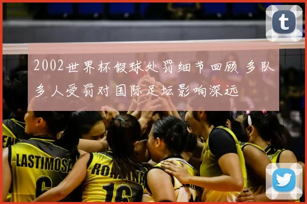 2002世界杯假球处罚细节回顾 多队多人受罚对国际足坛影响深远