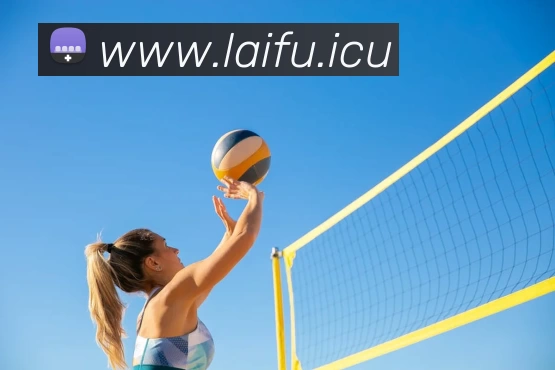 九游网页官方网站APP 封面图